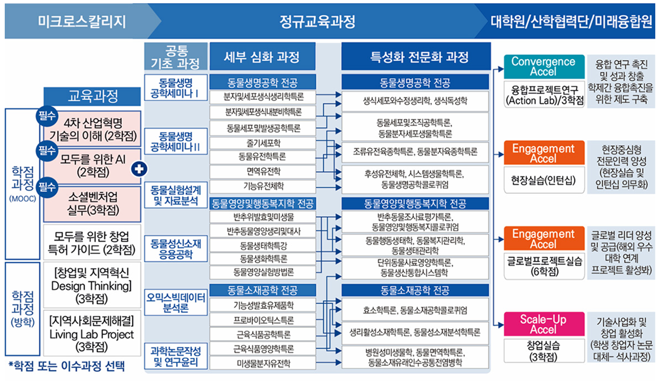 교육과정 이수체계도 및 BK 연계 프로그램